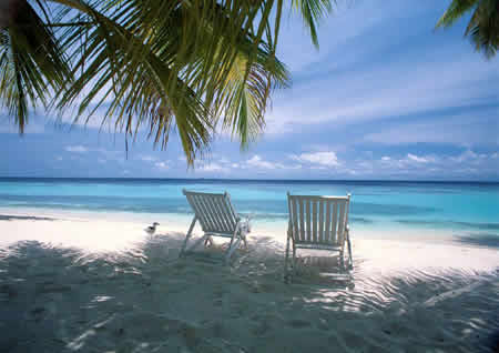 ���ҿ�̩��