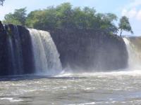 ĵ����̩��